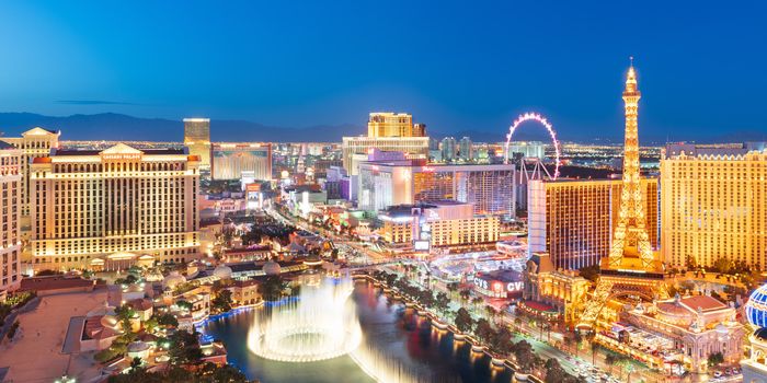 CES 2026 - Webpage Banner